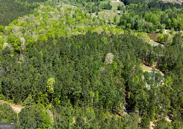 Photo 3 of Land for sale at 0 Deep S Rd #2, Senoia, GA 30276 | MLS# 10730938 | Listing updated on 2026-09-10