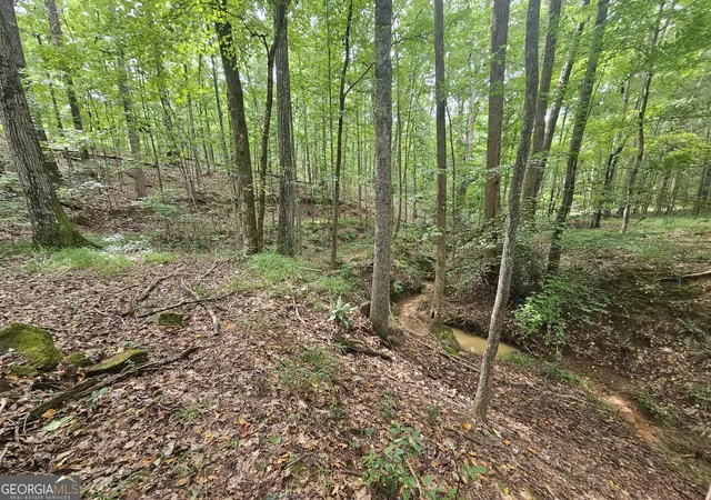 31st image of 0 Clark Dr, Ellenwood, GA 30294 | MLS# 10635625