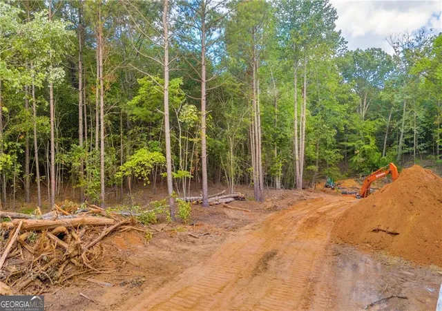 15th image of 5561 Shadburn Ferry Rd, Buford, GA 30518 | MLS# 10796555