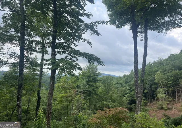 2nd image of Lot 40 Anderson Dr, Clayton, GA 30525 | MLS# 10613926