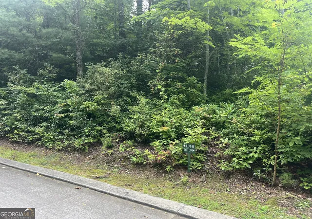 3rd image of Lot 40 Anderson Dr, Clayton, GA 30525 | MLS# 10613926