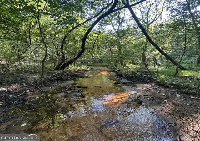 1st image of Tbd Wilson Rd, Cuthbert, GA 39840 | MLS# 10813691