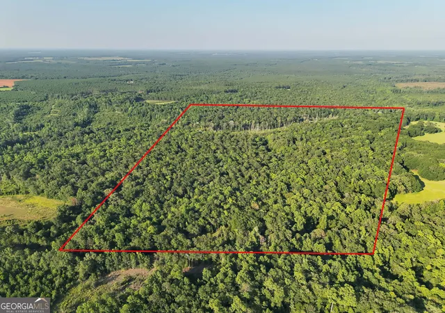 3rd image of Tbd Wilson Rd, Cuthbert, GA 39840 | MLS# 10813691