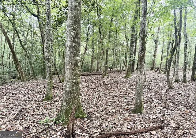 42nd image of Tbd Wilson Rd, Cuthbert, GA 39840 | MLS# 10813691