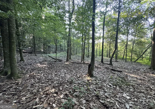 4th image of Tbd Wilson Rd, Cuthbert, GA 39840 | MLS# 10813691