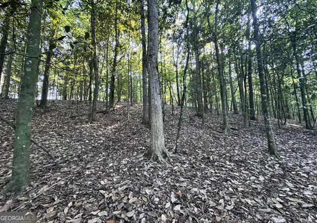 5th image of Tbd Wilson Rd, Cuthbert, GA 39840 | MLS# 10813691