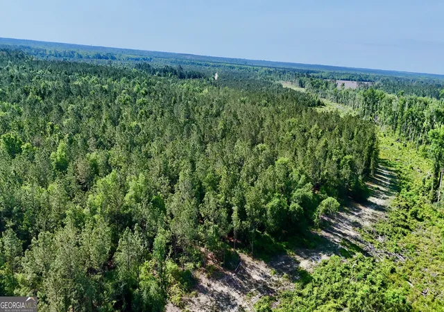2nd image of 0 Tillman Cemetery Rd, Lumber City, GA 31549 | MLS# 10800279