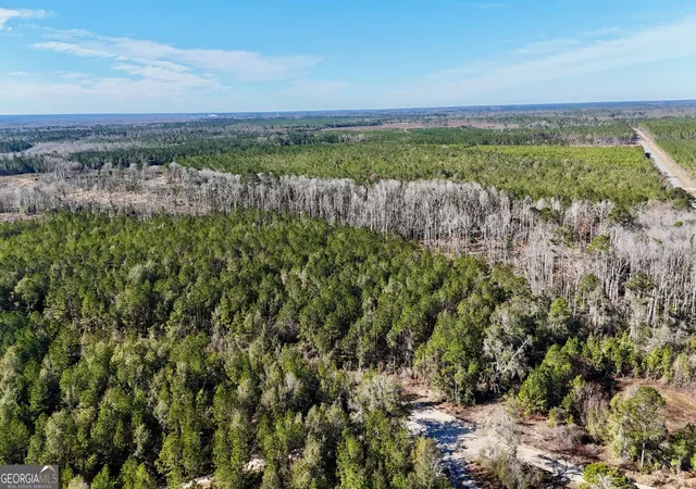 4th image of 0 Tillman Cemetery Rd, Lumber City, GA 31549 | MLS# 10800279