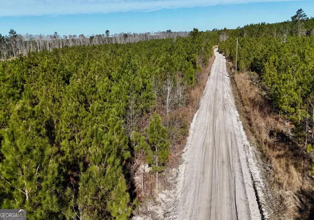 5th image of 0 Tillman Cemetery Rd, Lumber City, GA 31549 | MLS# 10800279