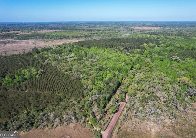 Homes for sale in Midway, GA | 0 Cay Creek Rd, Midway, GA 31320 | MLS# 10730006