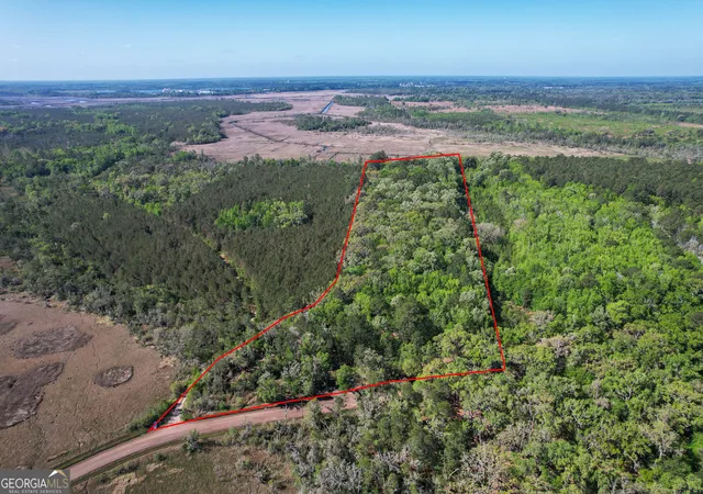 Homes for sale in Midway, GA | 0 Cay Creek Rd, Midway, GA 31320 | MLS# 10730006