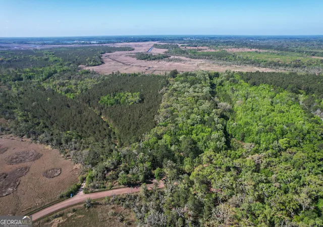 3rd image of 0 Cay Creek Rd, Midway, GA 31320 | MLS# 10730006