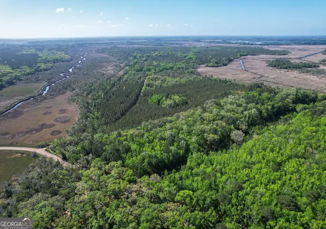 5th image of 0 Cay Creek Rd, Midway, GA 31320 | MLS# 10730006
