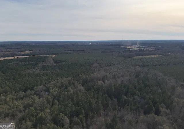 Homes for sale in Sylvania, GA | 3 Country Club Rd #LOT 3, Sylvania, GA 30467 | MLS# 10755782