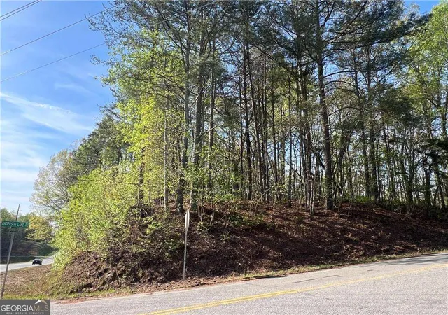 2nd image of 6425 Anderson Lake Rd, Dawsonville, GA 30534 | MLS# 10780652