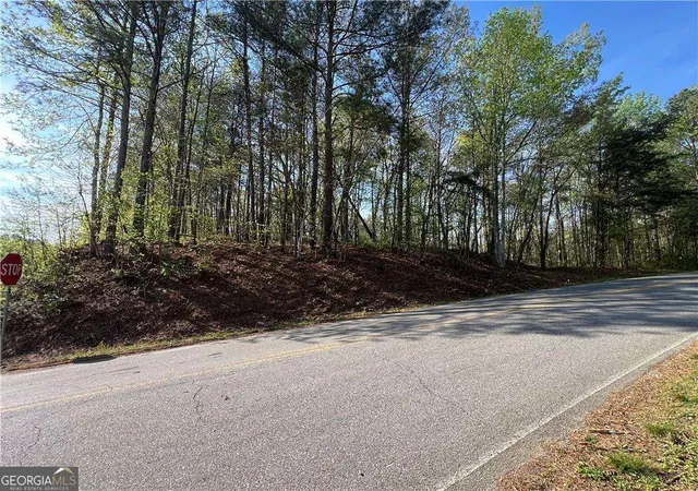 5th image of 6425 Anderson Lake Rd, Dawsonville, GA 30534 | MLS# 10780652