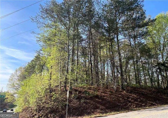 8th image of 6425 Anderson Lake Rd, Dawsonville, GA 30534 | MLS# 10780652