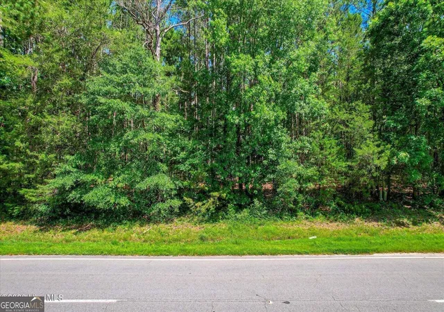 23rd image of 0 Hwy 378 And Ann Scott Dr, Lincolnton, GA 30817 | MLS# 10802689