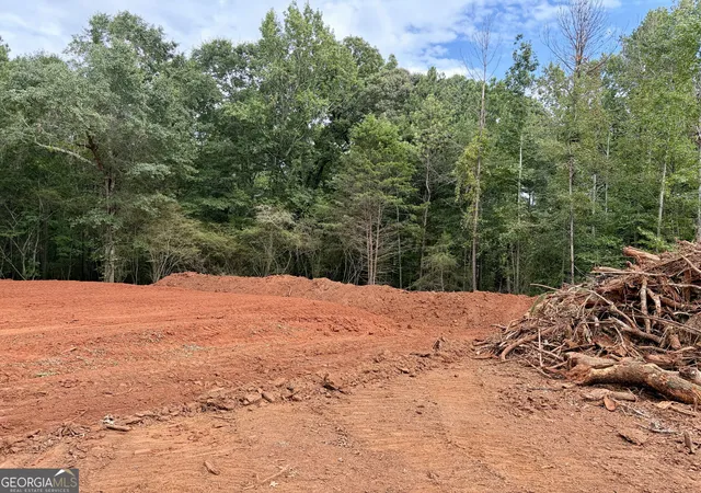 Photo 4 of Single family home for sale at 3 Wisteria Ln, Williamson, GA 30292 | MLS# 10813884 | Listing updated on 2026-08-11