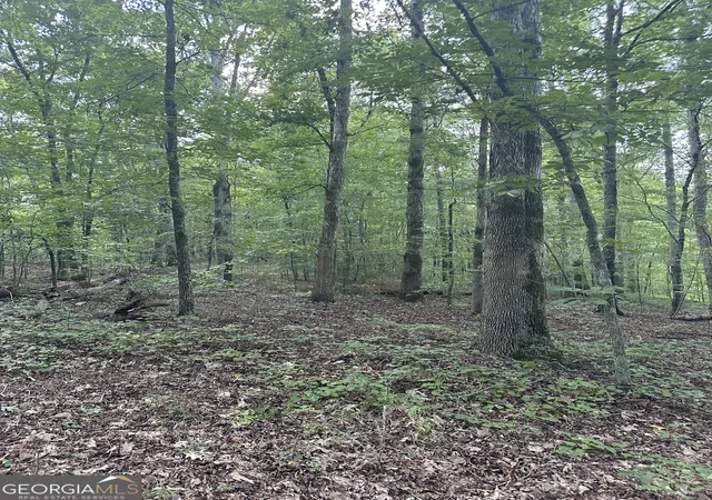 Photo 2 of Land for sale at 0 Fears Rd, Madison, GA 30650 | MLS# 10647993 | Listing updated on 2026-09-14