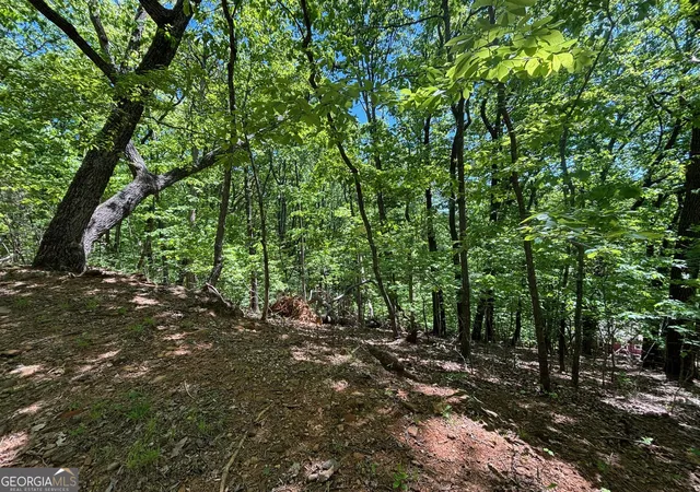 Photo 1 of Land for sale at 0 Lookout Ridge Rd #11, Cleveland, GA 30528 | MLS# 10737799 | Listing updated on 2026-09-28