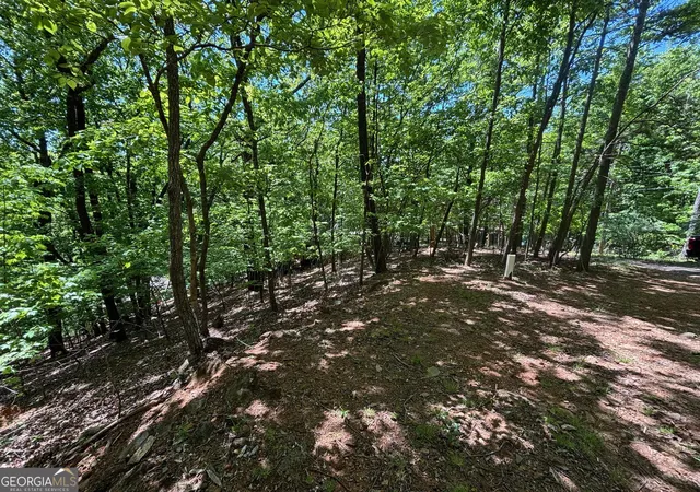 Photo 2 of Land for sale at 0 Lookout Ridge Rd #11, Cleveland, GA 30528 | MLS# 10737799 | Listing updated on 2026-09-28
