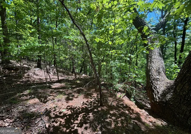 Photo 3 of Land for sale at 0 Lookout Ridge Rd #11, Cleveland, GA 30528 | MLS# 10737799 | Listing updated on 2026-09-28