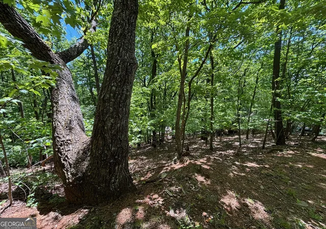 Photo 4 of Land for sale at 0 Lookout Ridge Rd #11, Cleveland, GA 30528 | MLS# 10737799 | Listing updated on 2026-09-28