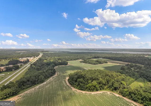 20th image of Hwy 95 N County Road 95 Hwy N, Eufaula, AL 36027 | MLS# 10821756