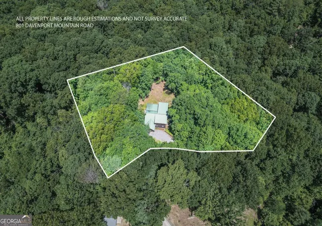 Homes for sale in Blue Ridge, GA | 801 Davenport Mountain Rd, Blue Ridge, GA 30513 | MLS# 10778650