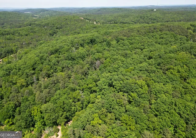 3rd image of 0 S Hwy 27, Lindale, GA 30147 | MLS# 10760637