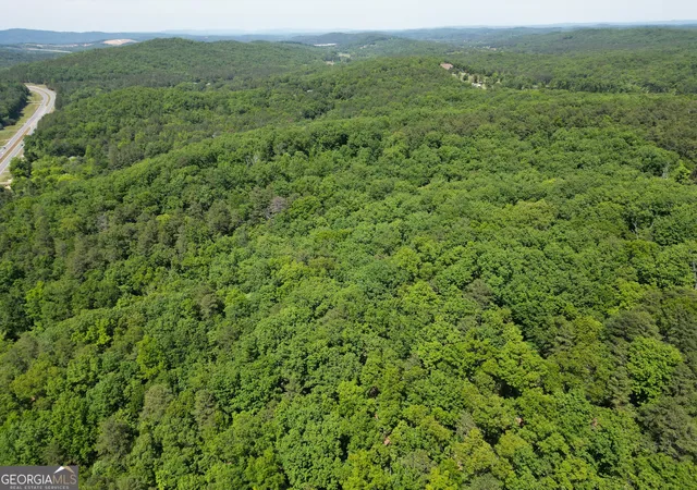 9th image of 0 S Hwy 27, Lindale, GA 30147 | MLS# 10760637