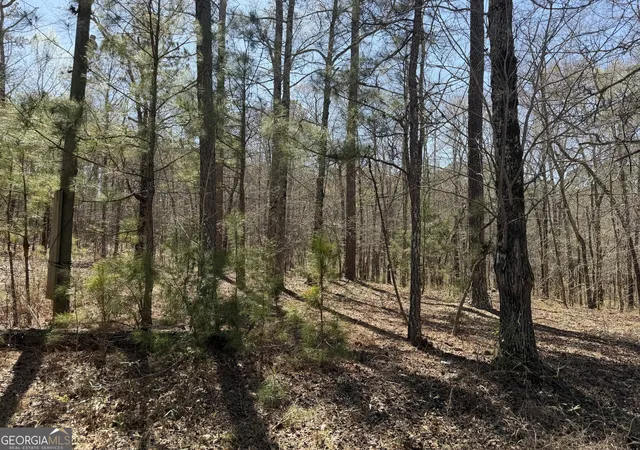 Photo 1 of Sale Pending at 1430 Cleveland Farm Rd, Locust Grove, GA 30248 | MLS# 10713093 | Listing updated on 2026-09-15