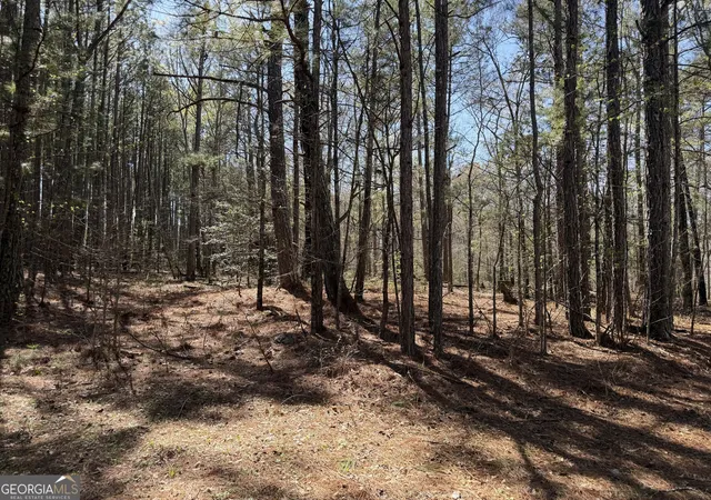Photo 2 of Sale Pending at 1430 Cleveland Farm Rd, Locust Grove, GA 30248 | MLS# 10713093 | Listing updated on 2026-09-15