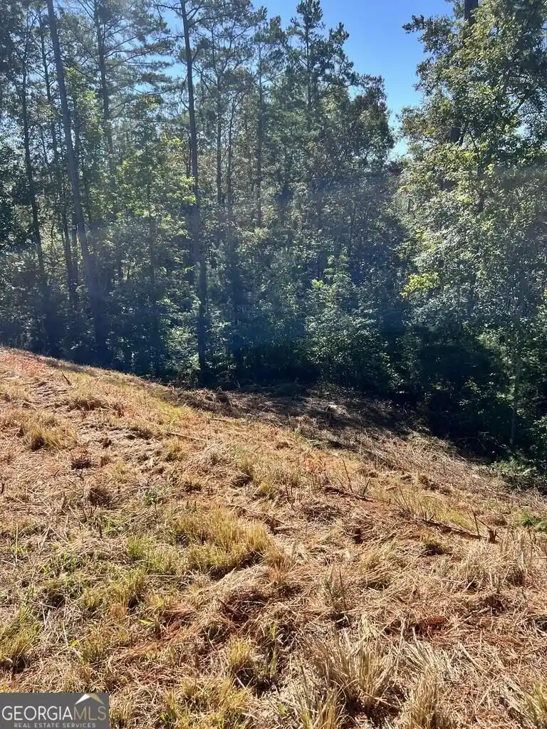 Photo 1 of Land for sale at Lt 229 Woodstone Trl, Ellijay, GA 30540 | MLS# 10867254 | Listing updated on 2026-10-19