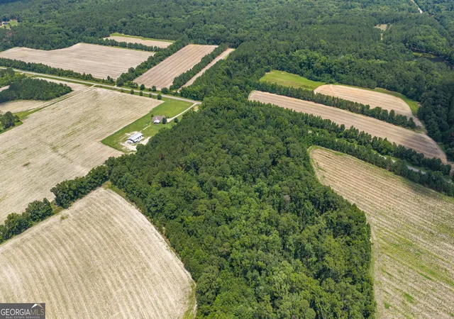 Homes for sale in Garfield, GA | 0 Old River Rd, Garfield, GA 30425 | MLS# 10795220