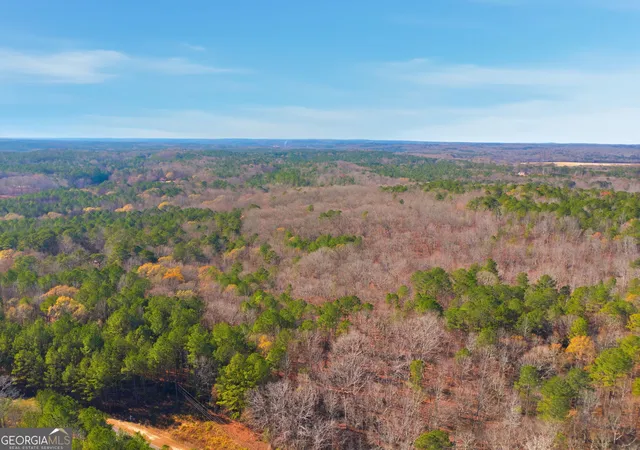 5th image of 0 Creel Rd #2, Fairburn, GA 30213 | MLS# 10658083