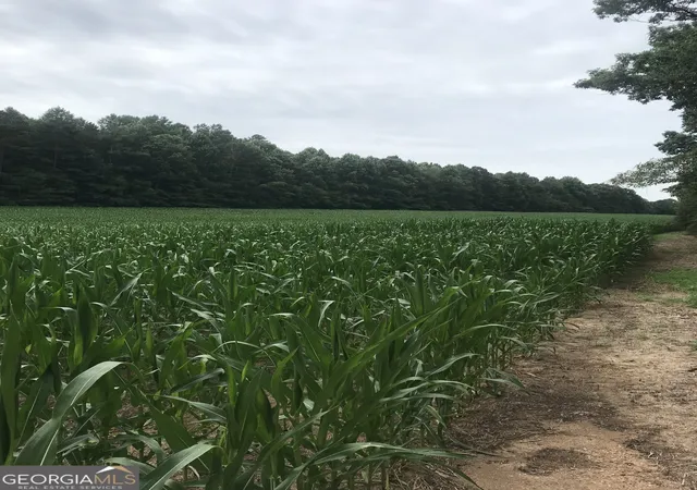 Photo 2 of Land for sale at 0 Cleveland Hwy, Cohutta, GA 30710 | MLS# 10710473 | Listing updated on 2026-06-08