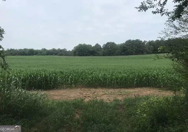 Photo 3 of Land for sale at 0 Cleveland Hwy, Cohutta, GA 30710 | MLS# 10710473 | Listing updated on 2026-06-08