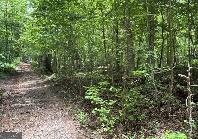 21st image of 0 Crest View Dr, Cleveland, GA 30528 | MLS# 10775930