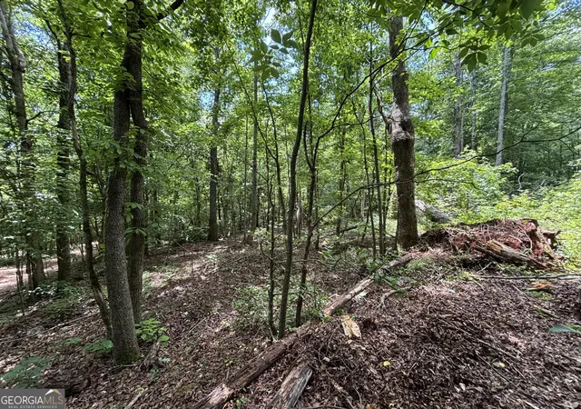 Photo 3 of Land for sale at 0 Crst View Dr, Cleveland, GA 30528 | MLS# 10775930 | Listing updated on 2026-06-15