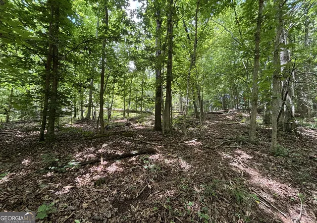 Photo 4 of Land for sale at 0 Crst View Dr, Cleveland, GA 30528 | MLS# 10775930 | Listing updated on 2026-06-15