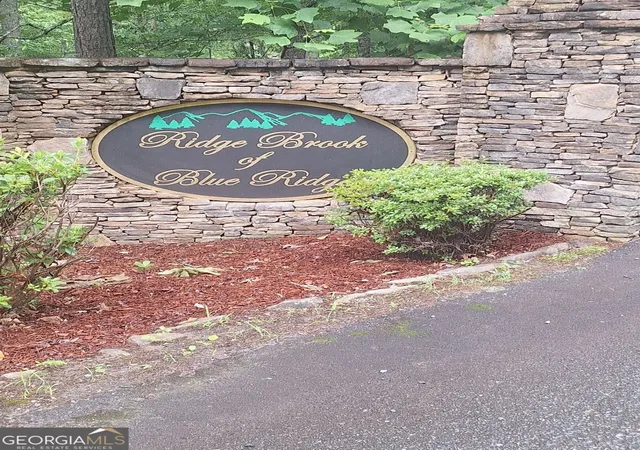 1st image of Lot 22 Meadow Brook Trl, Morganton, GA 30560 | MLS# 10789980