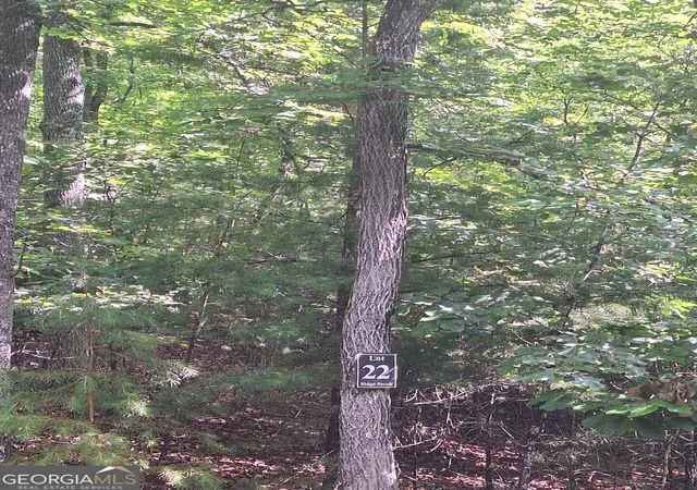 4th image of Lot 22 Meadow Brook Trl, Morganton, GA 30560 | MLS# 10789980