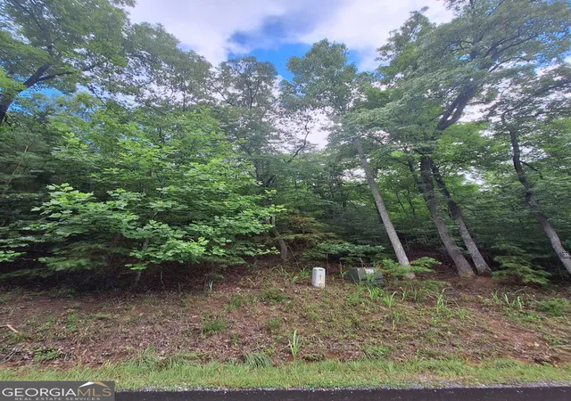 5th image of Lot 22 Meadow Brook Trl, Morganton, GA 30560 | MLS# 10789980
