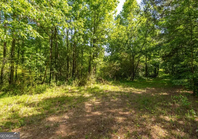 2nd image of 0 Gene Bell Rd, Monroe, GA 30655 | MLS# 10722441