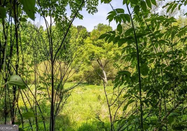 3rd image of 0 Gene Bell Rd, Monroe, GA 30655 | MLS# 10722441