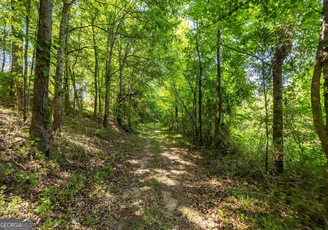 4th image of 0 Gene Bell Rd, Monroe, GA 30655 | MLS# 10722441