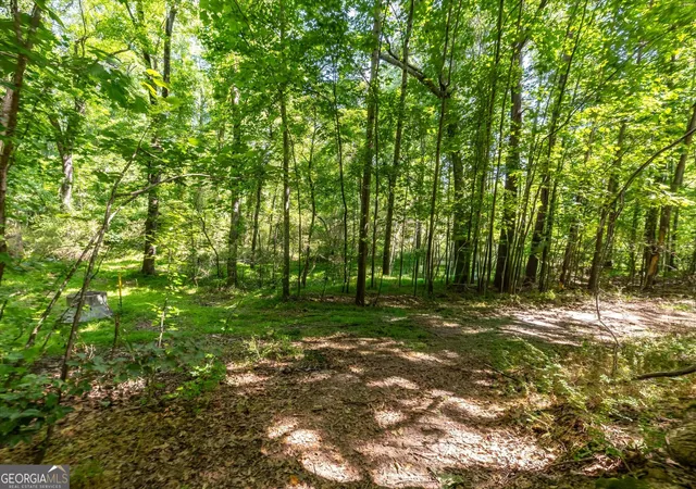 5th image of 0 Gene Bell Rd, Monroe, GA 30655 | MLS# 10722441