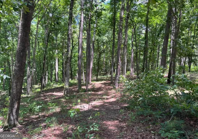 2nd image of 1577 Pullman Ln, Greensboro, GA 30642 | MLS# 10790586